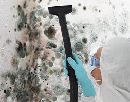 Best Mold Damage Restoration  in Eastlawn Gardens, PA